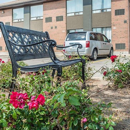 Comfort Inn Waterloo Zewnętrze zdjęcie