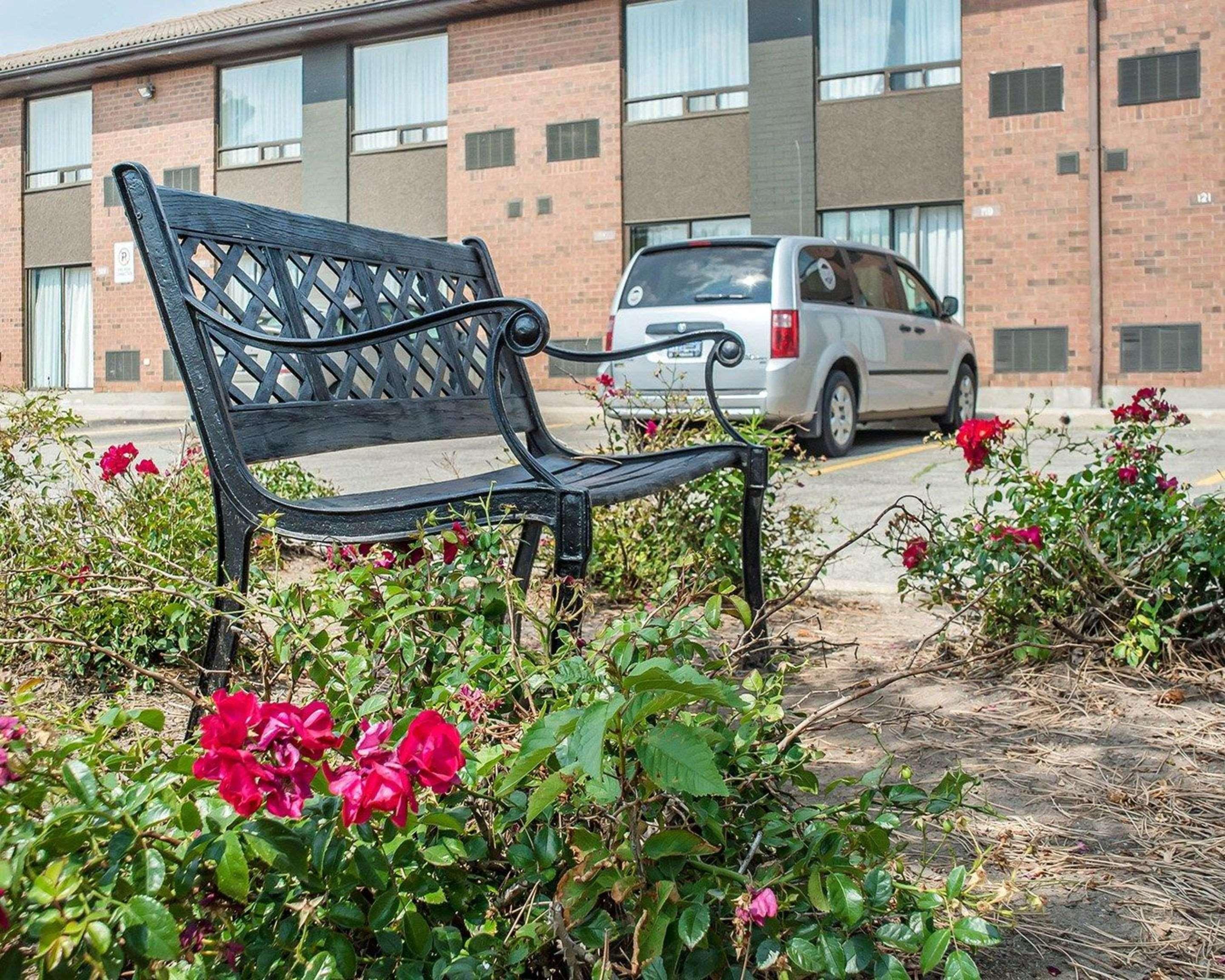Comfort Inn Waterloo Zewnętrze zdjęcie